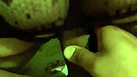 Wife in lingerie gets blowjob and doggystyle