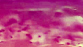 carol nakamura's brazilian brunette making of remastered