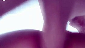 Meu Bb's Tender Affection