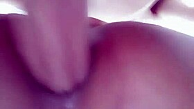 Meu Bb's Tender Affection