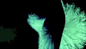 My secret life has changed forever