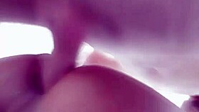 Meu Bb's Tender Affection