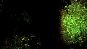 check out this vintage erotic cartoon?