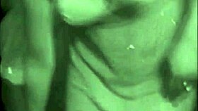 dark lantern presents vintage porn collection