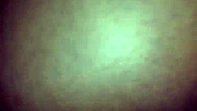 Woman cheats on husband at the park.