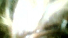 Video from June 5, 2017 😊