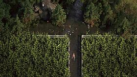 i'm hooked on this hentai orgy gameplay - genesis order 32