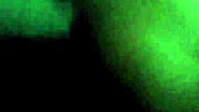 osparxxxxx's wet legs draw police attention in casual tale