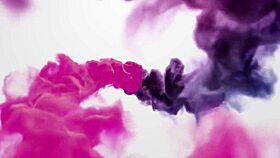 ts angelique monroe webcam show