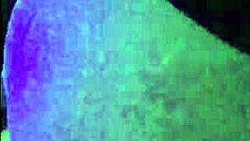 naughty latina compilation with the best amateur doggystyle action