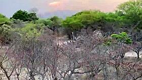 Angel Emily Gets Outdoor Anal During Safari