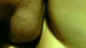 I lick my wife's pussy after cum