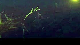 fucking witch mercys gorgeous body all night