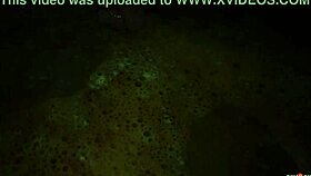 Misterious forest animation free version