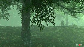Misterious forest animation free version