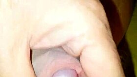 gay and happy moments unfold