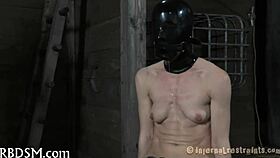 What happens in episode 005 of the series?