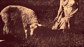 whoa! beauty and the beast in retro doggystyle?