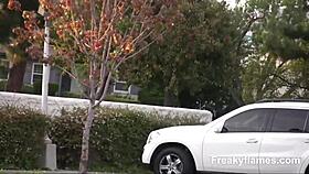 want to see amateur anal with monster cock?