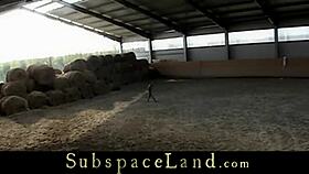 Captive Slaves Endure Humiliating Bondage Rough Fuck at Bdsm Stable Arrest