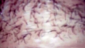 check out my big hairy ass, it's so sabrosa and horny