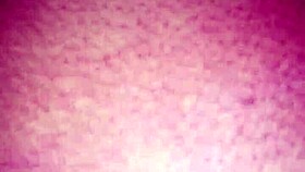 fucking my step sister's bbw friend in doggystyle with monster cock and cheating vibes