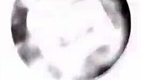 Bobs Tgirls Alexa Stacis' Magnificent Body Drives You Wild!