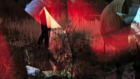 in vintage times, a beautiful hairy beauty meets the beast outdoors