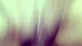 Amador fucks hot wife in interracial blowjob and pussy action