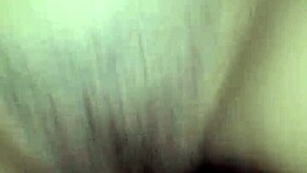 Amador fucks hot wife in interracial blowjob and pussy action