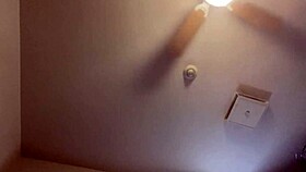 sexy shemale amateurs posing and showing off