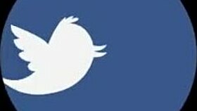 pretty teen sofi nails a filthy creampie audition with big tits