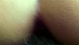 Girlfriends Asshole Begs Penetration On Squeaky Bed