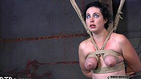 free sadomasochism erotica