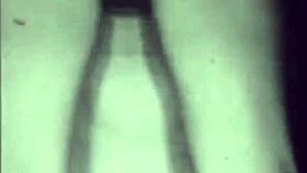 Comparing 20th and 19th century pornography in retro threesome group.