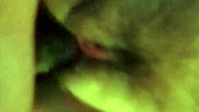 a quiet evening on february 24, 2017