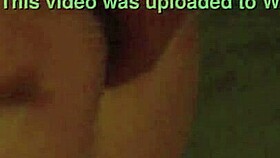 They pose me on all fours, my favorite position