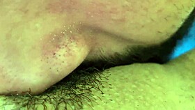 In Sao Paulo, a guy sucked Bianca Greluda until she orgasmed