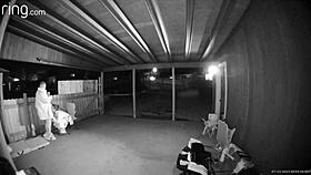 Amateurs sucking wet blowjob bent over fucking pussy public creampie outdoor