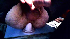 Sissy whore rides thick dildo in stockings mature crossdressing ass pussy toys amateurs