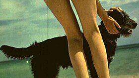 top twenty vintage beauty and the beast stories