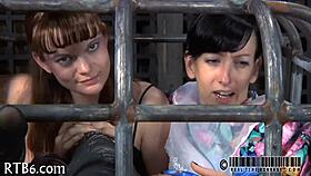 Free sadomasochism erotica stories