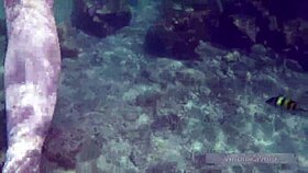 Incredible! Public Exhibitionist German Teen 18+ VeronikaVonk Flashes Big Boobs By The Sea!