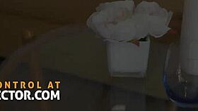 Is my stepsister an escort?