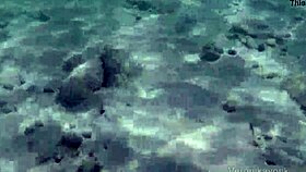 Incredible! Public Exhibitionist German Teen 18+ VeronikaVonk Flashes Big Boobs By The Sea!