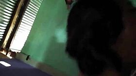 Essa esposa dá uma mamada boa no meu pau até o orgasmo 😍