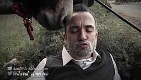 in this spanish tale, don quixote embarks on his adventures across the european land