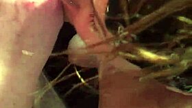 Queenlaroyale Sucks Her Lover's Monster Cock in Intense Blowjob Session