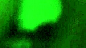 Watch that BBC ebony girl get fucked?