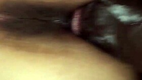 I cream on that big black cock in doggystyle